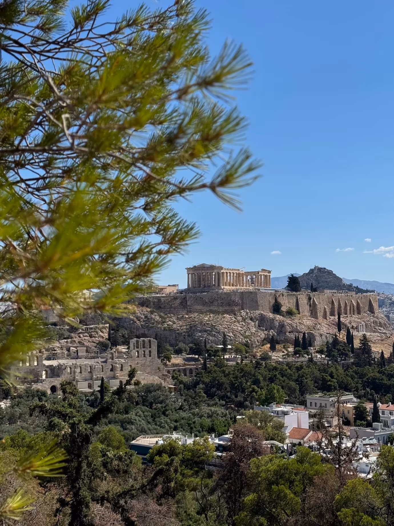 The Acropolis framed by pine branches from Philopappos Hill, a highlight of the self-guided walking route